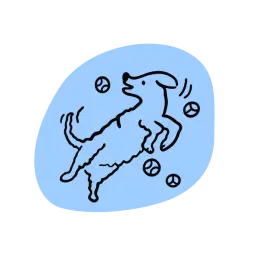 High-energy dog