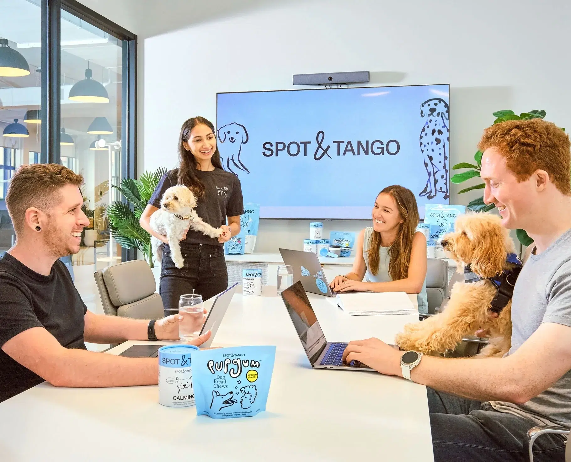 Team meeting four employees with two small dogs in the Spot and Tango New York City office