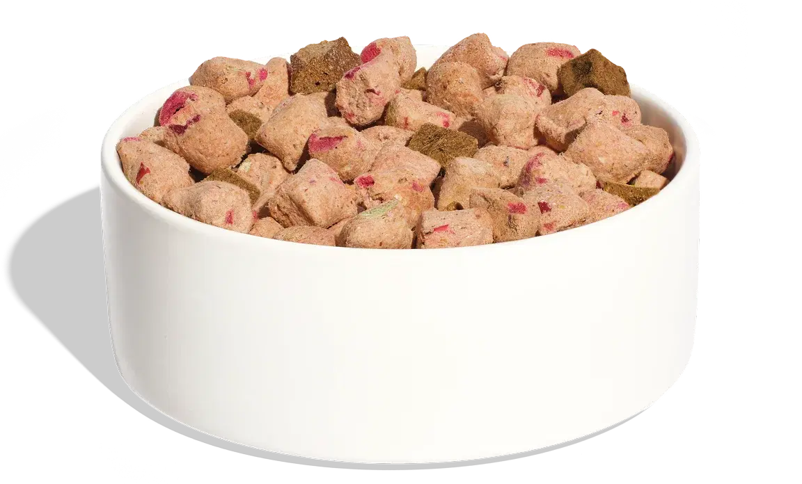 Beef + Barley UnKibble bowl