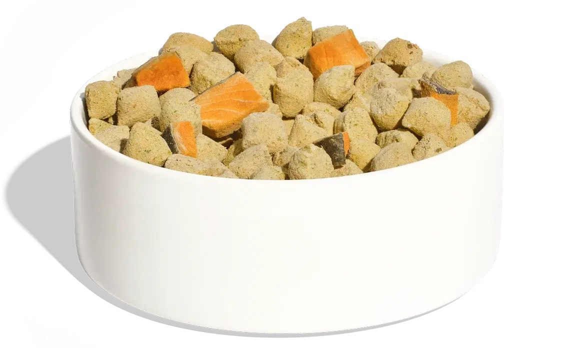 Cod + Salmon UnKibble bowl