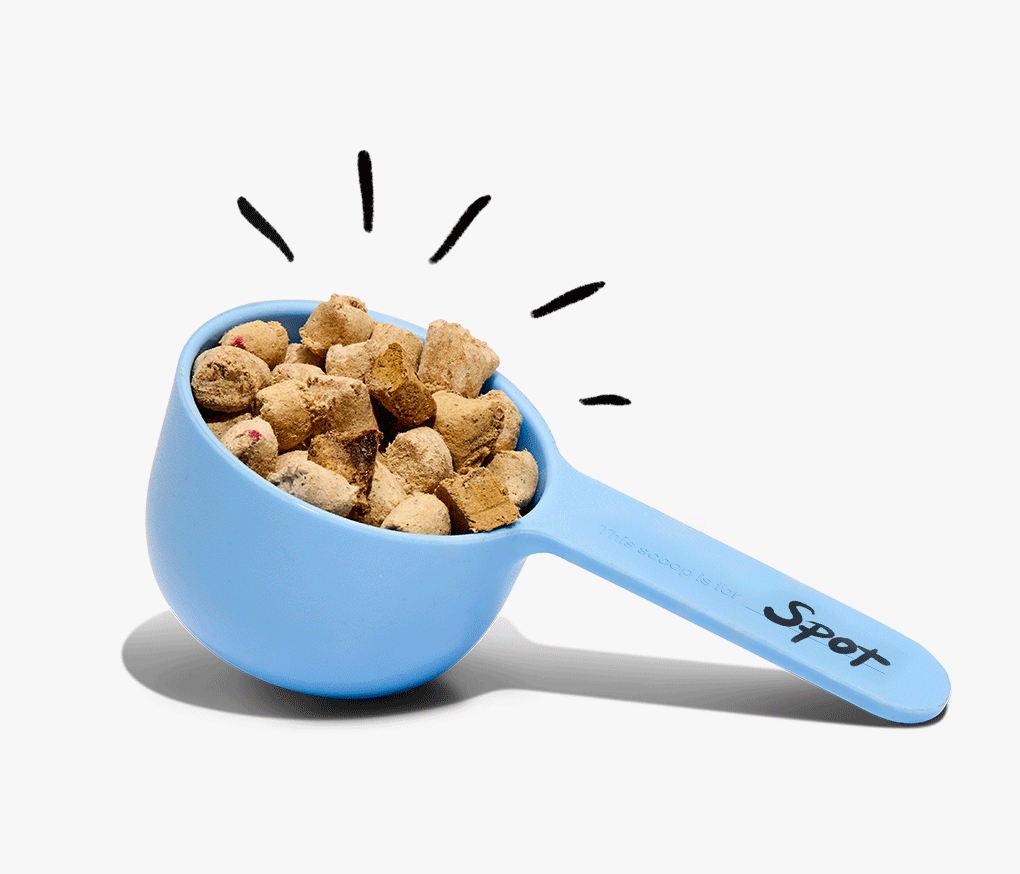 Is Unkibble Freeze Dried: Ultimate Guide to Fresh Pet Nutrition